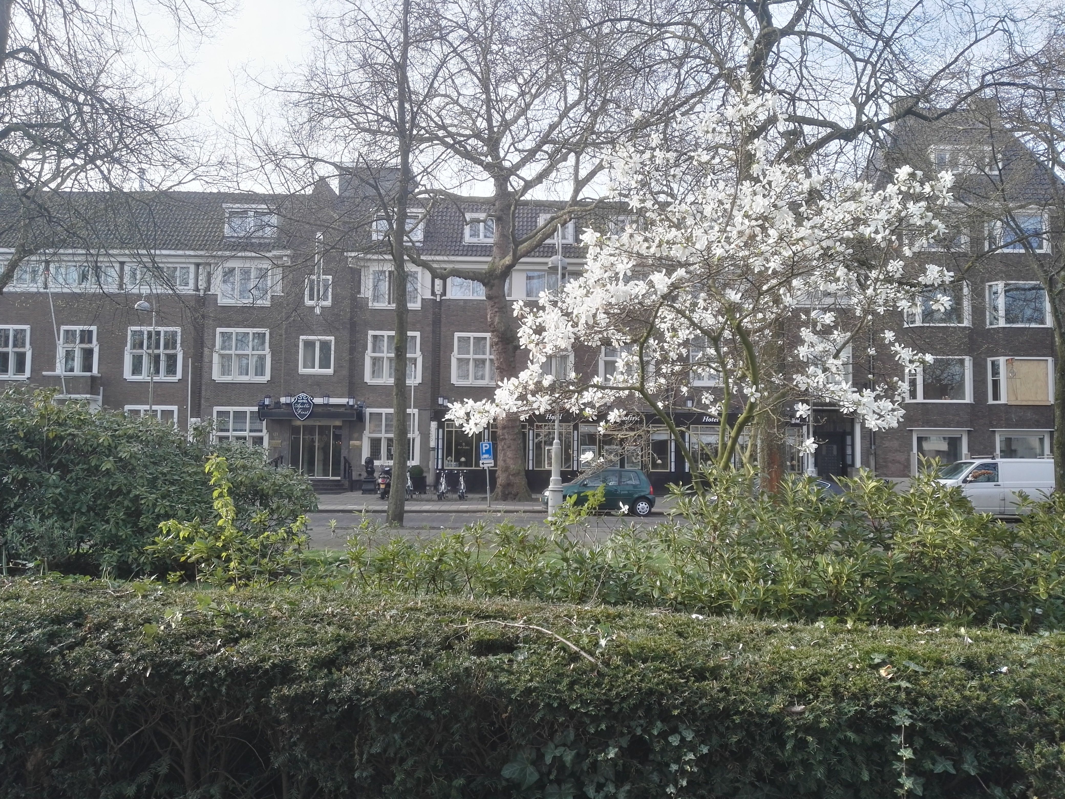 Hauptbilder