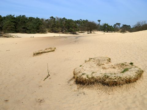 Umgebung