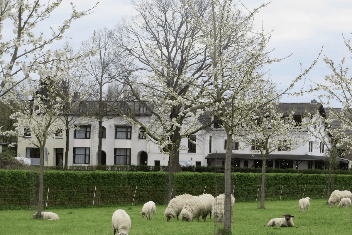 Fassade