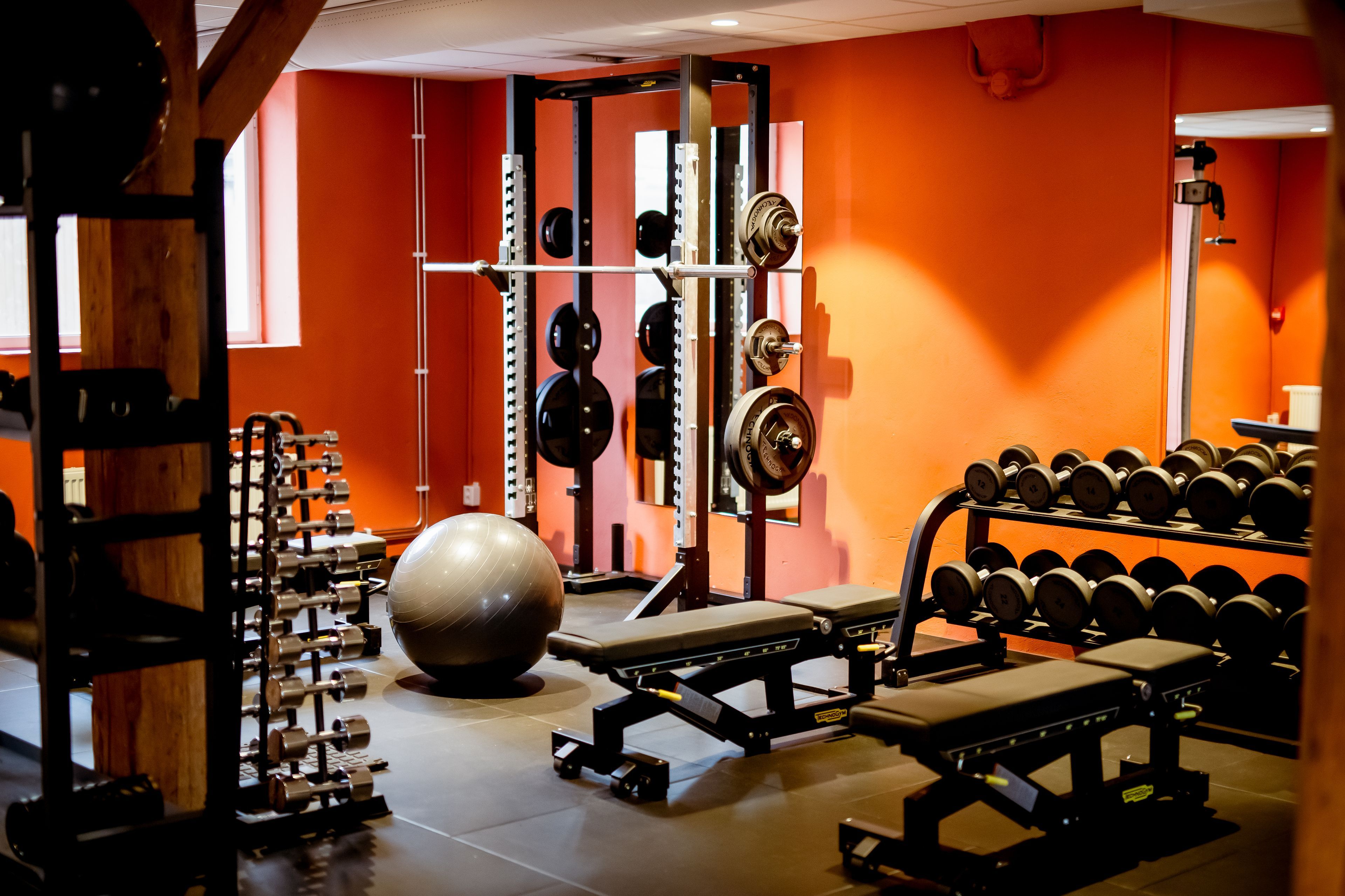 Wellness