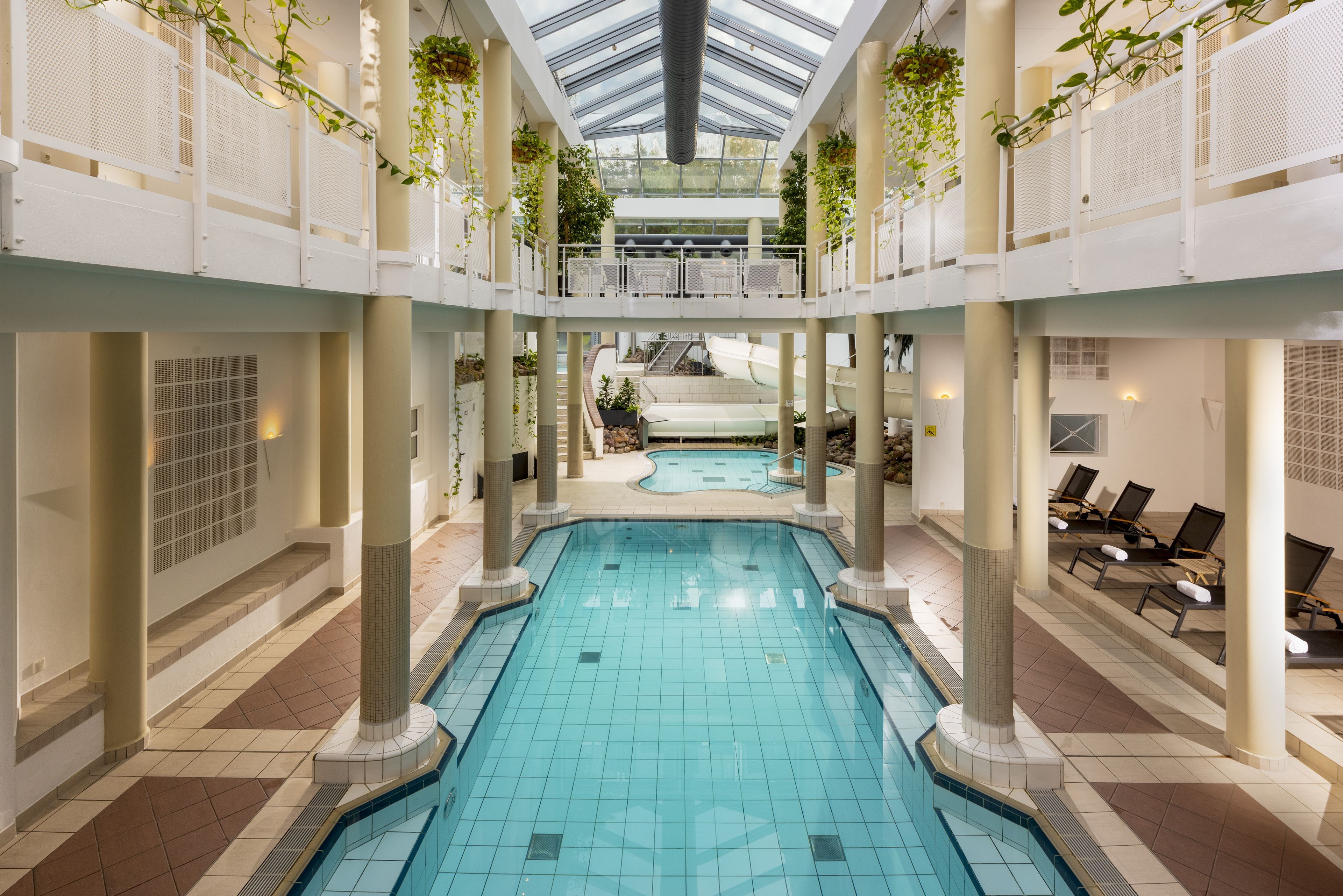Wellness