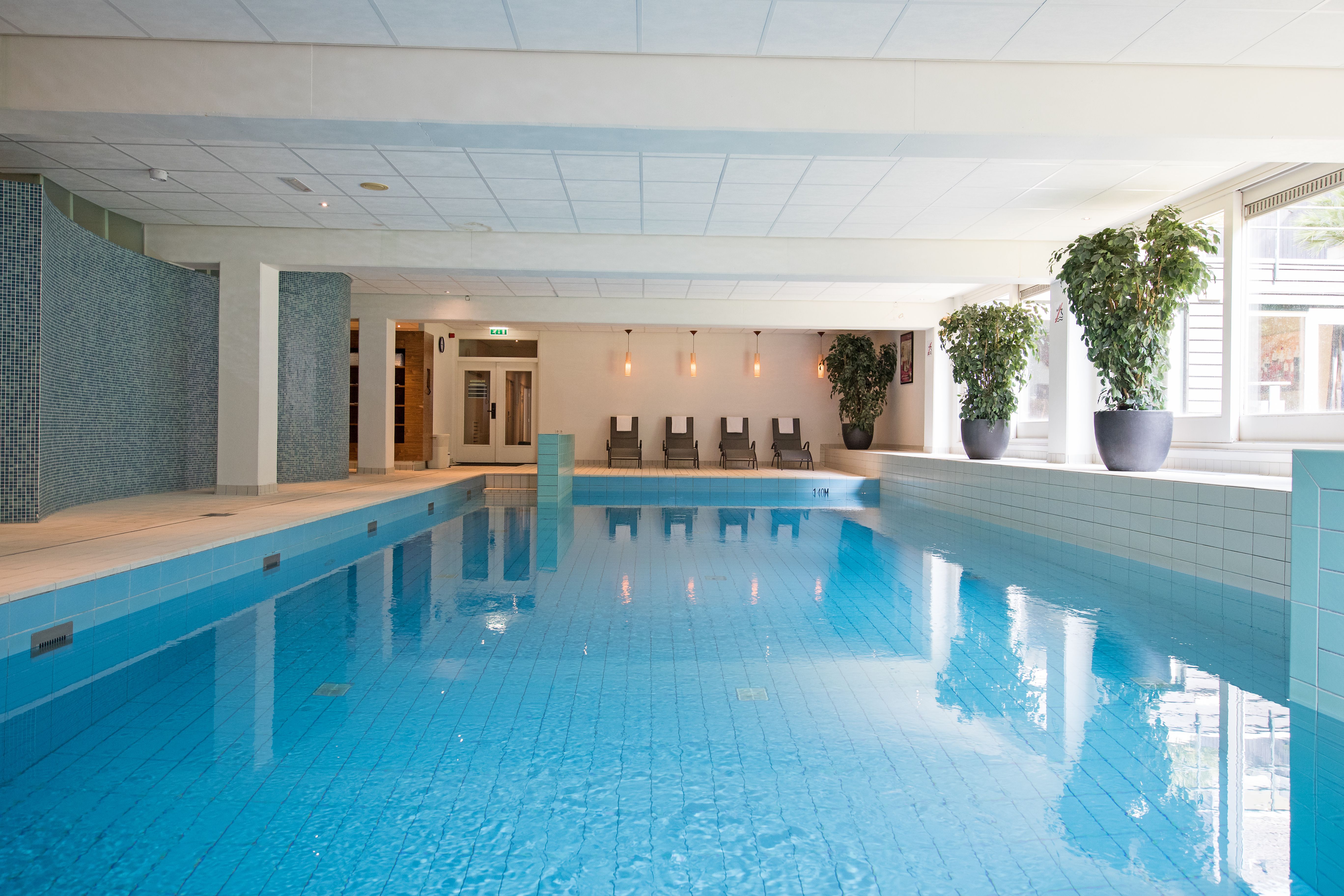 Wellness