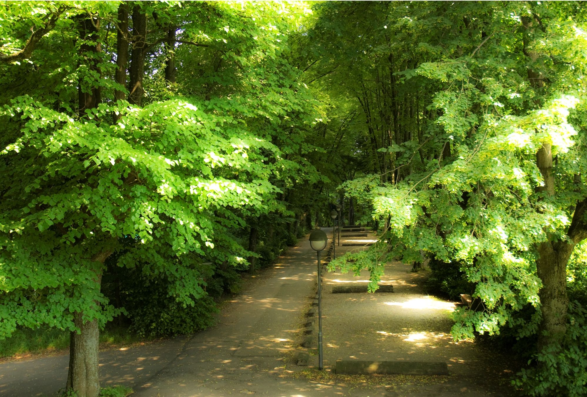 Umgebung