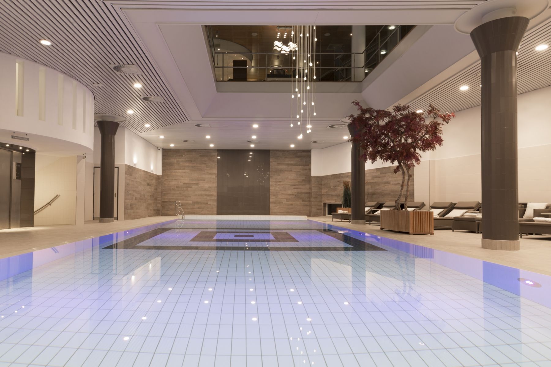 Wellness