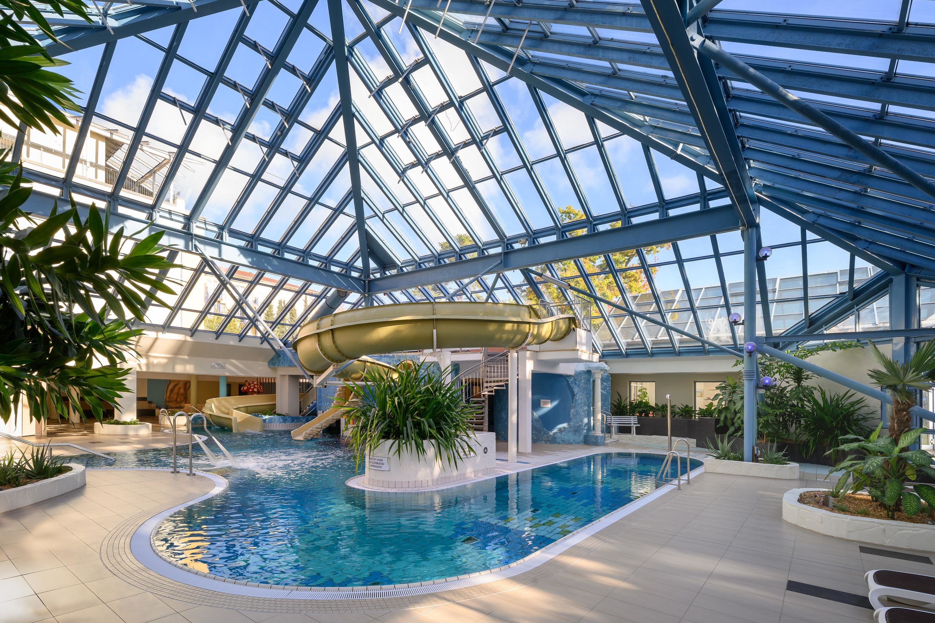 Wellness