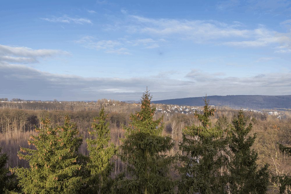 Umgebung