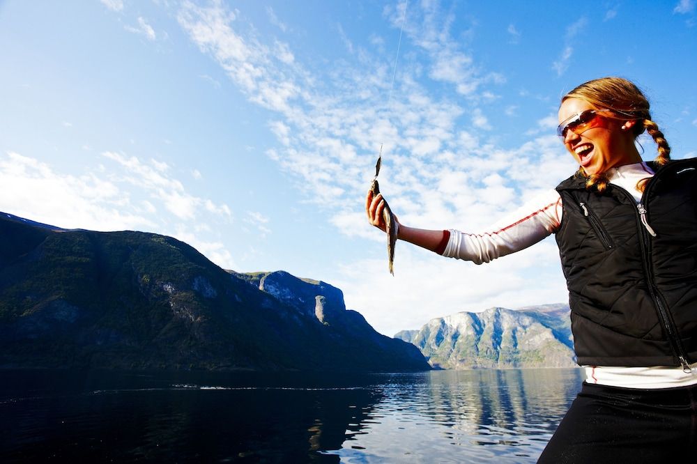 Allgemein