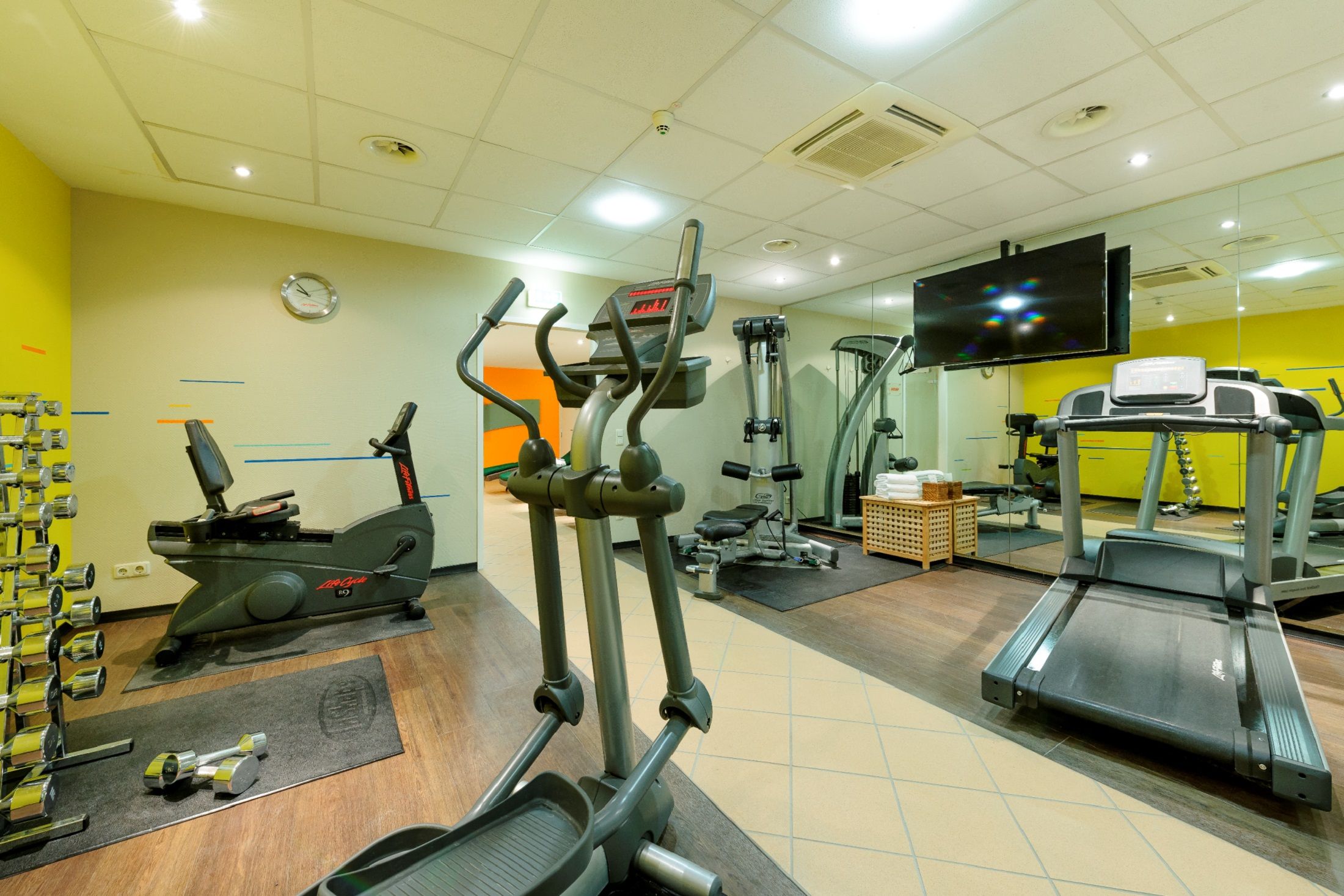 Wellness