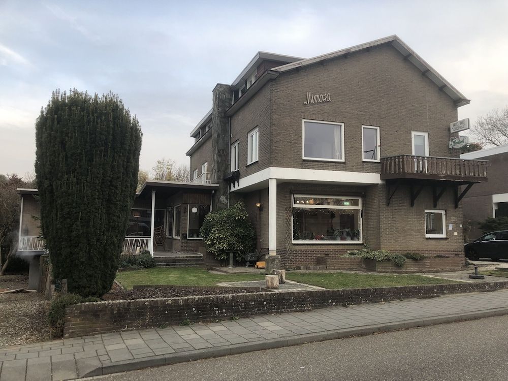 Allgemein