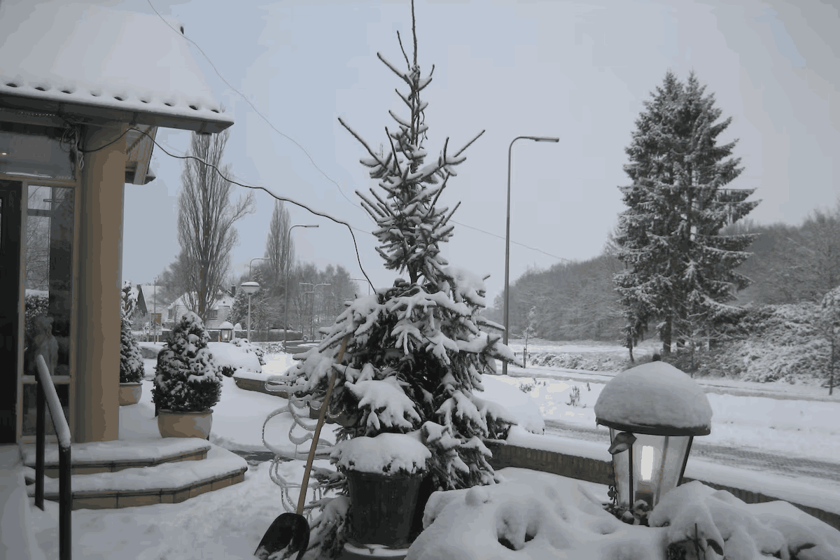 Umgebung