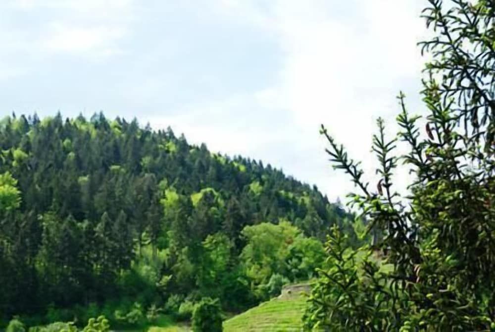 Allgemein