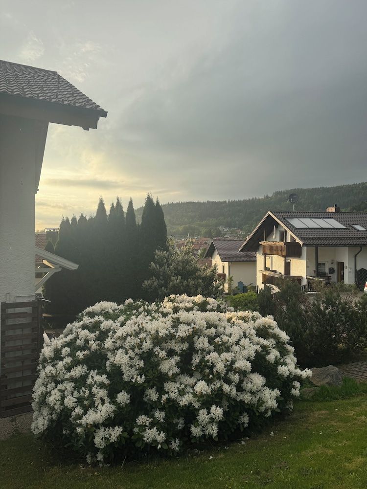 Allgemein