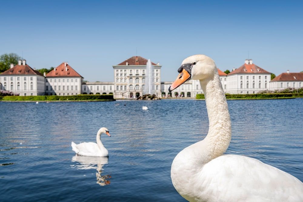 Allgemein