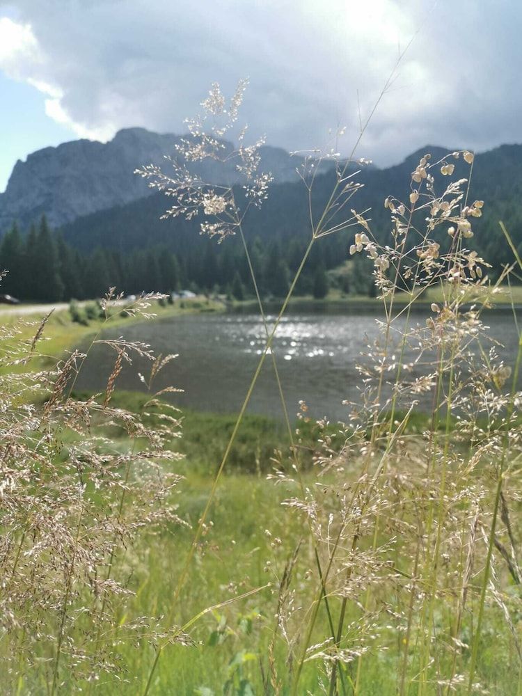 Allgemein