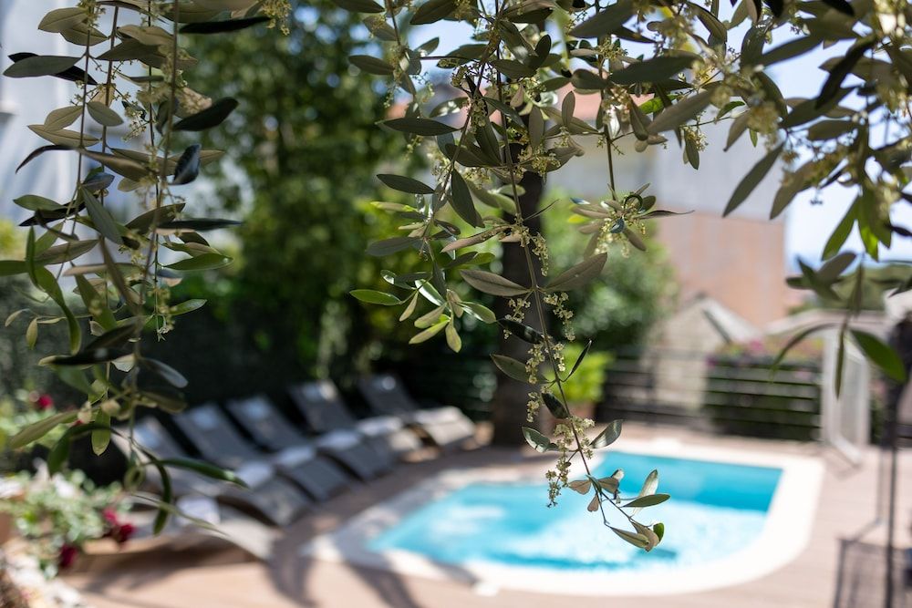 Allgemein