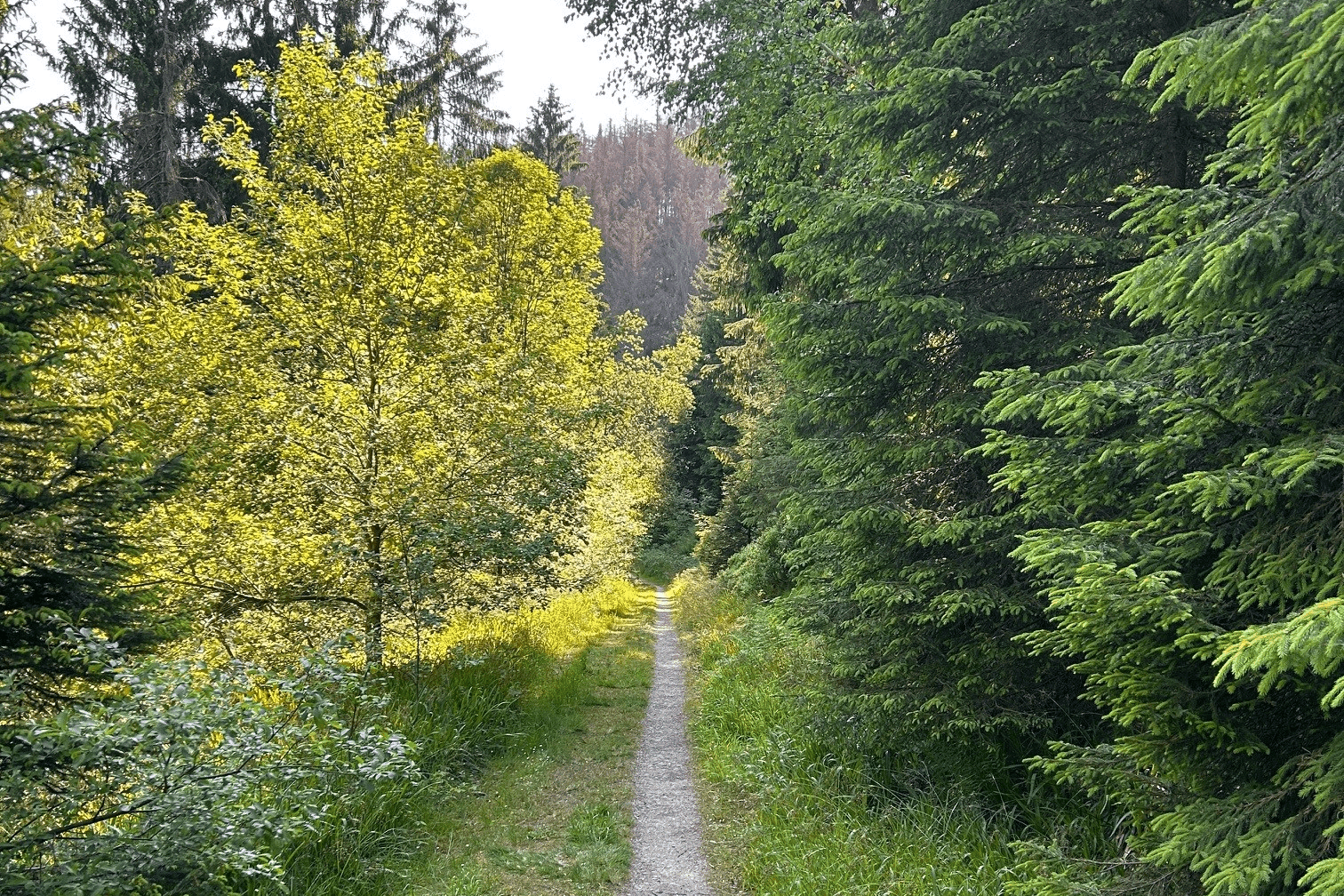 Umgebung