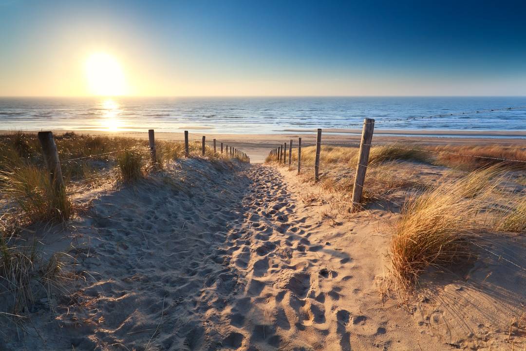 Hotels mit Hund in Zandvoort buchen