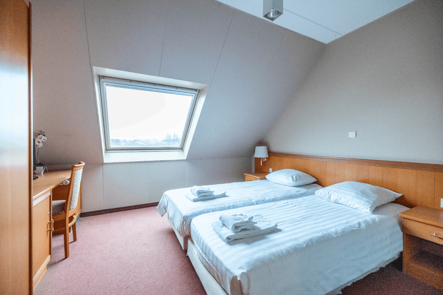 Bild von Entdecke die Stadt Special