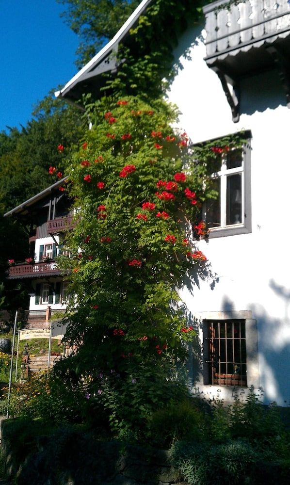 Allgemein