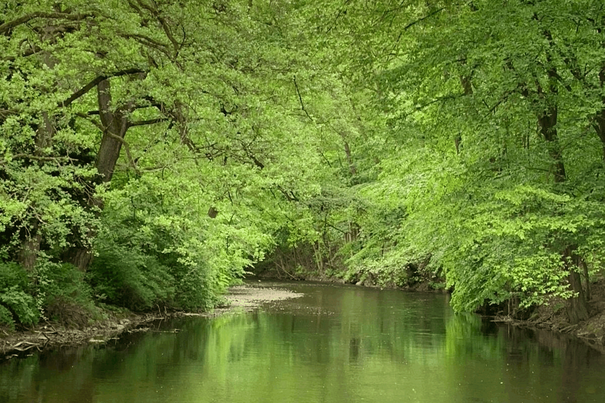 Umgebung