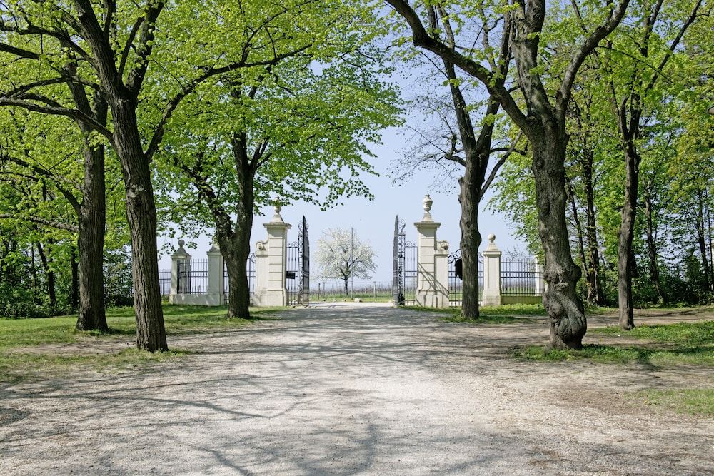 Allgemein