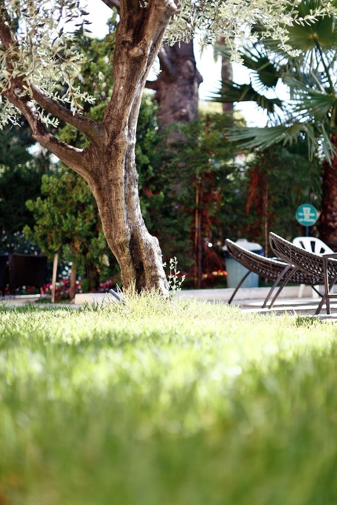 Allgemein