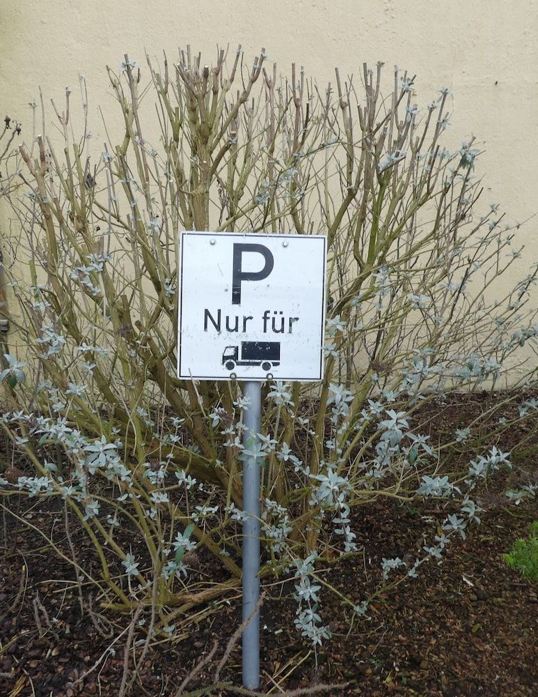 Allgemein
