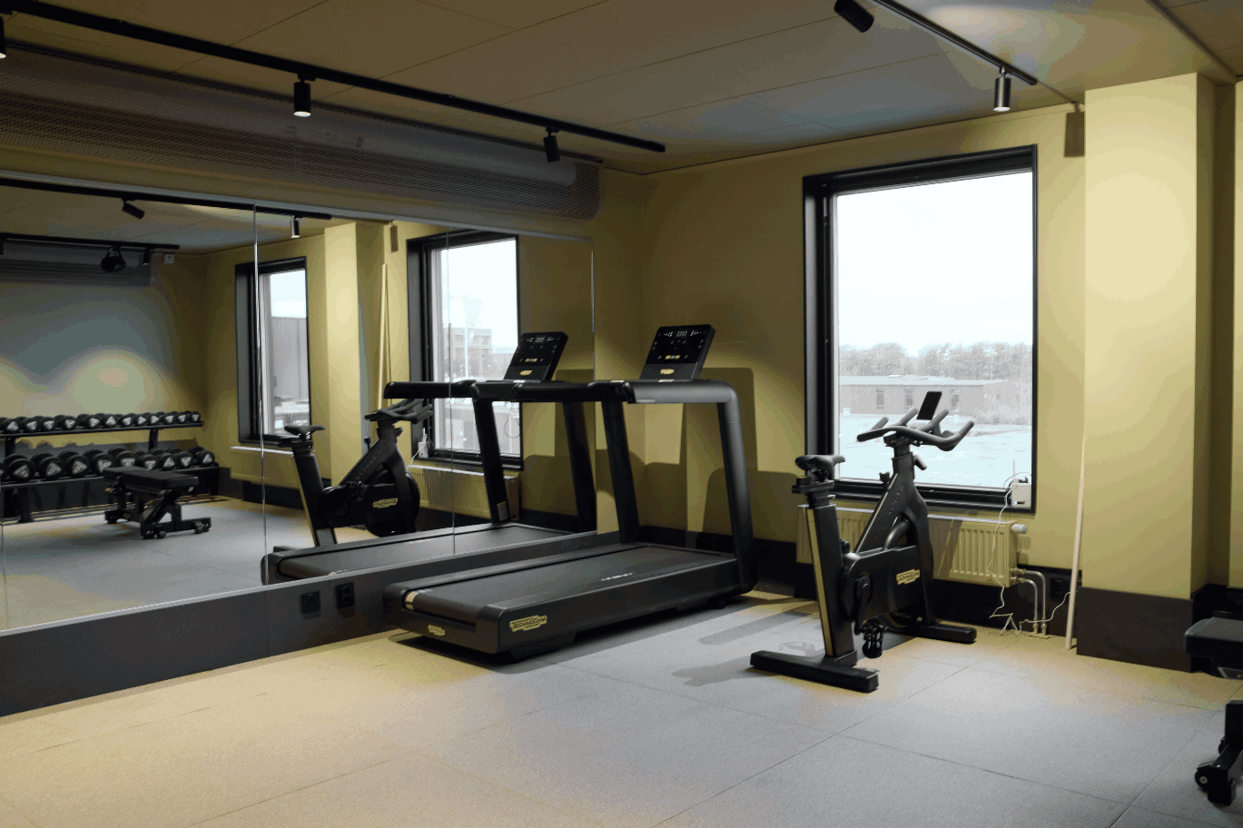 Wellness