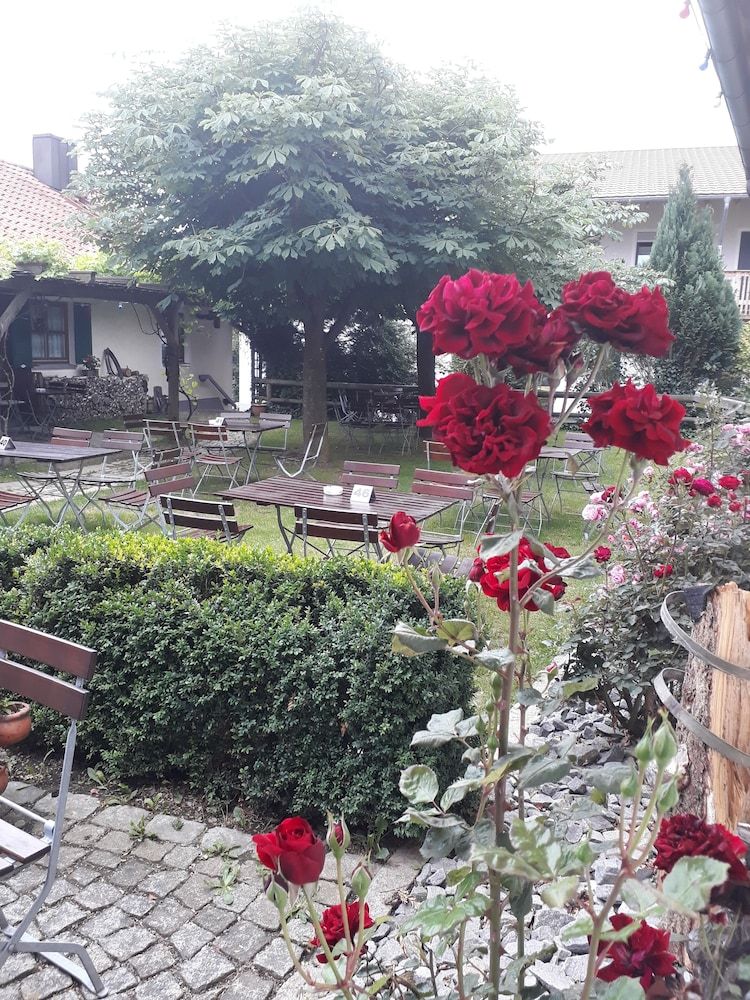 Allgemein