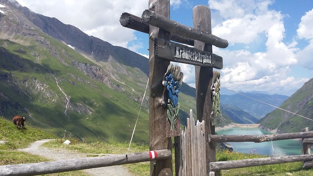 Allgemein