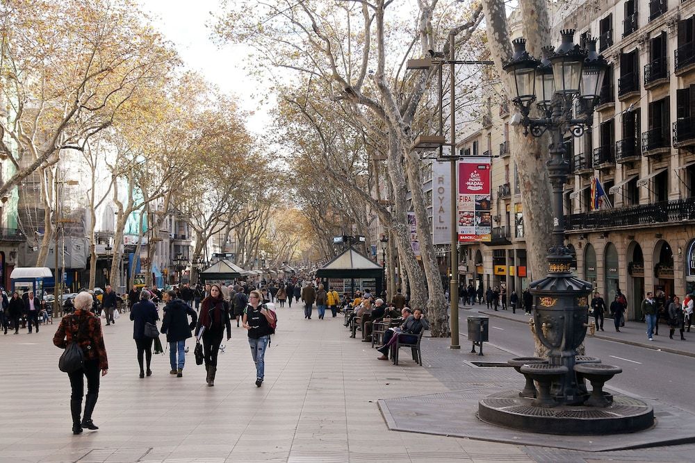 Allgemein