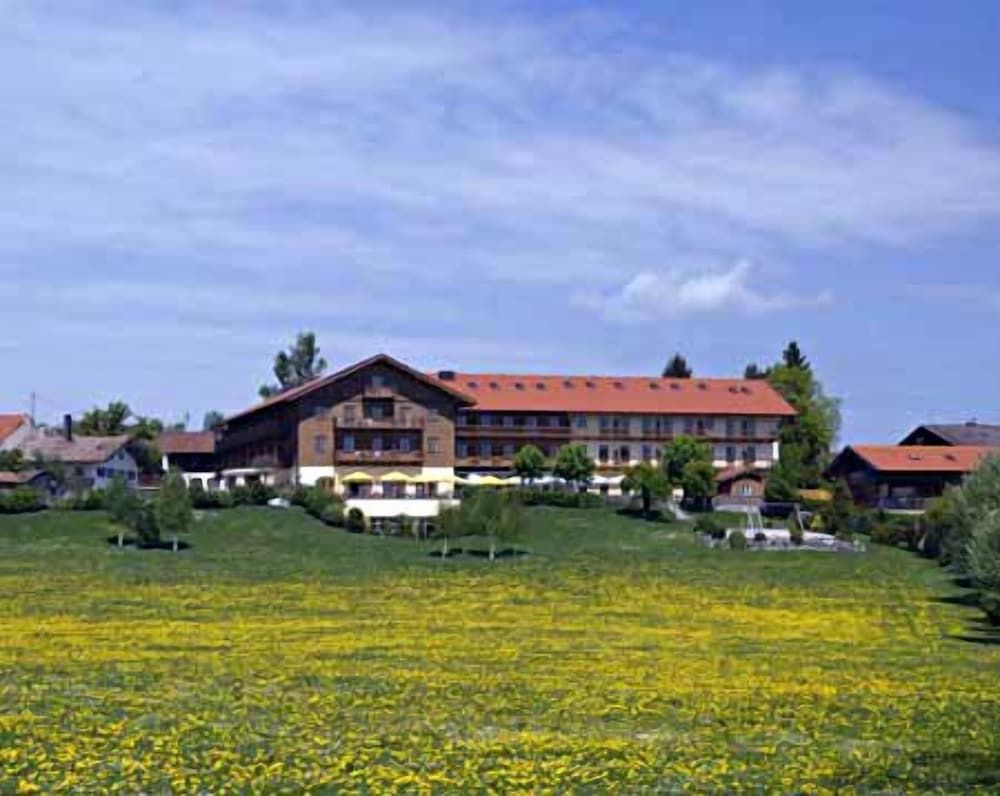 Allgemein