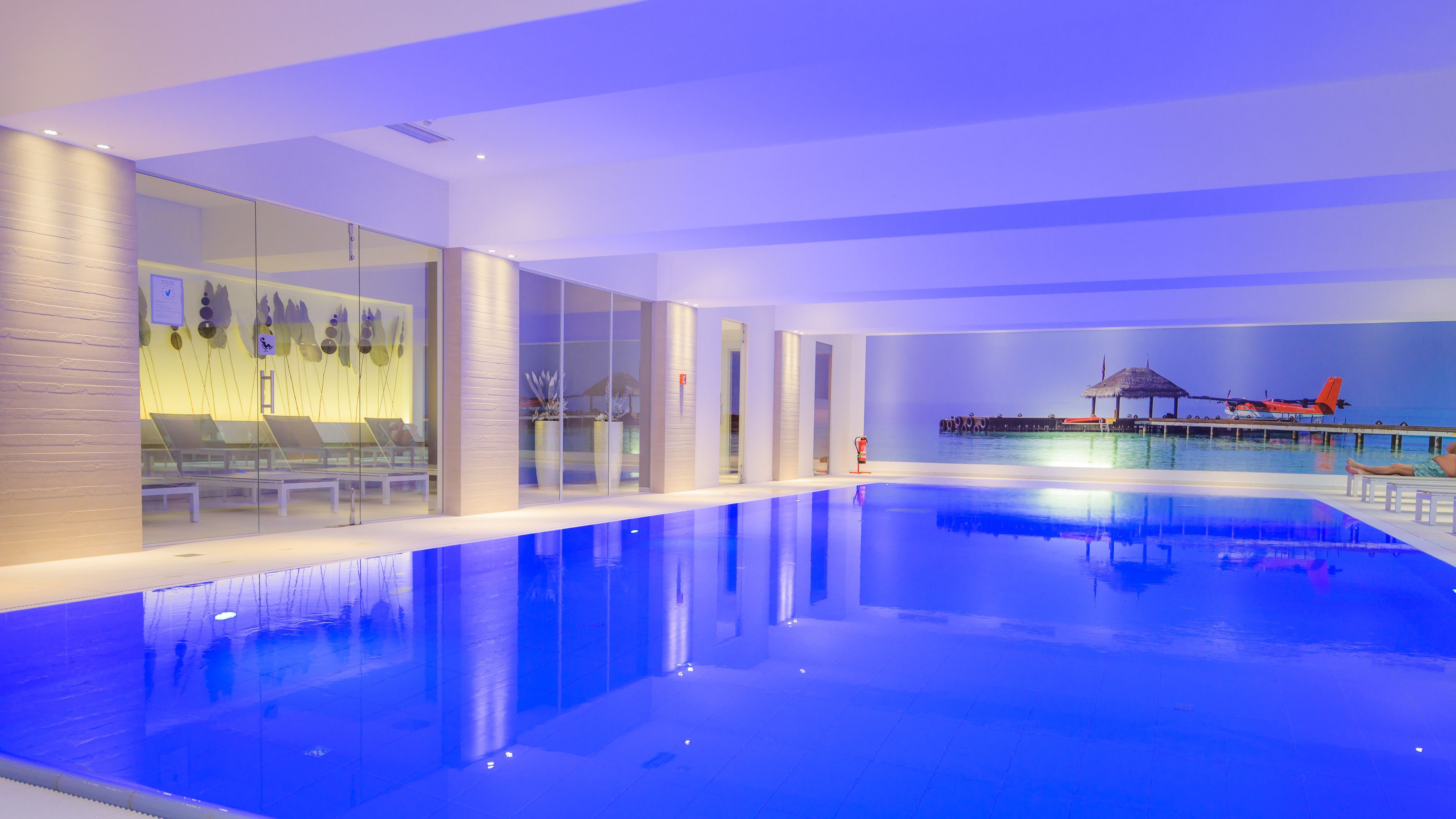 Wellness
