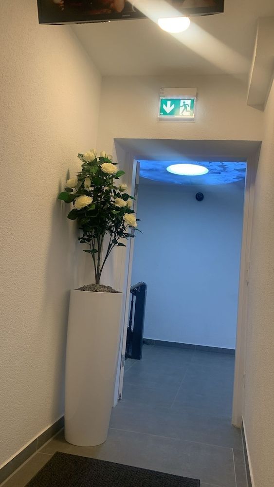 Allgemein
