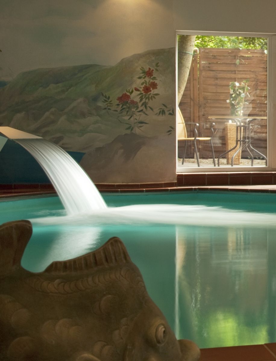 Wellness
