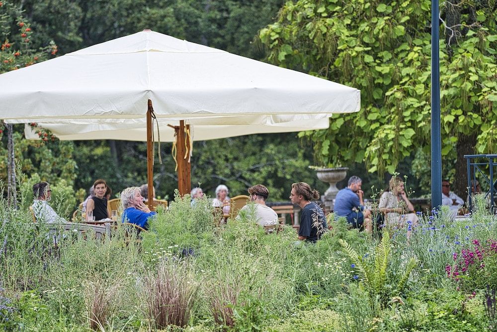 Allgemein