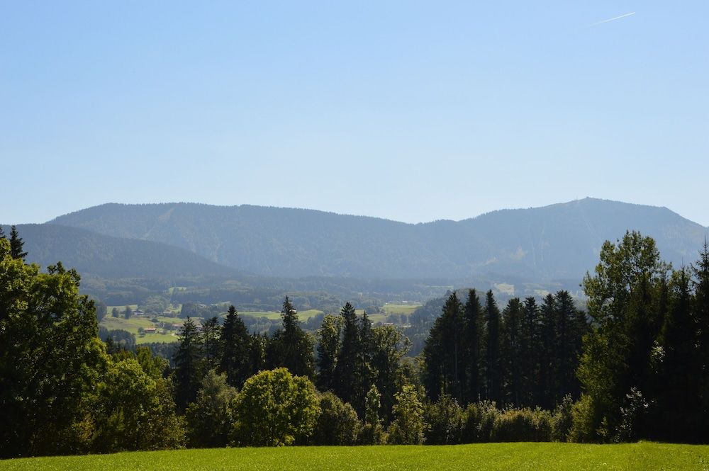 Allgemein