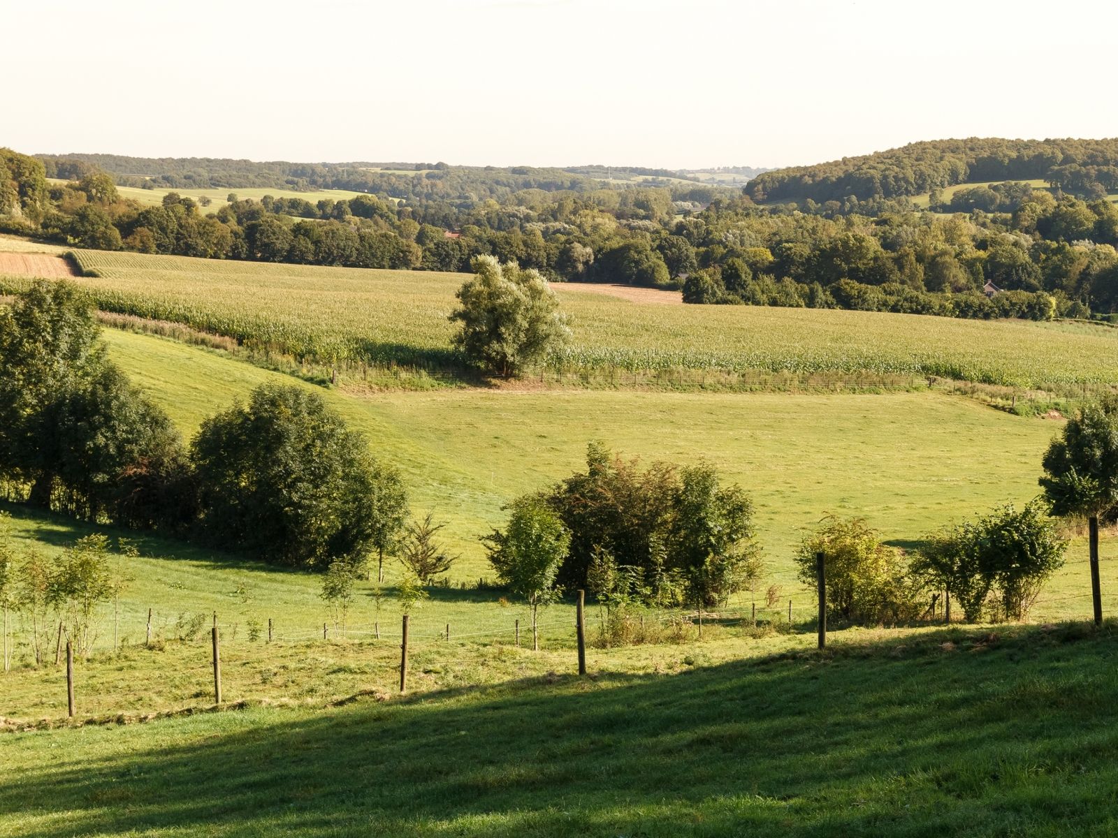 Umgebung