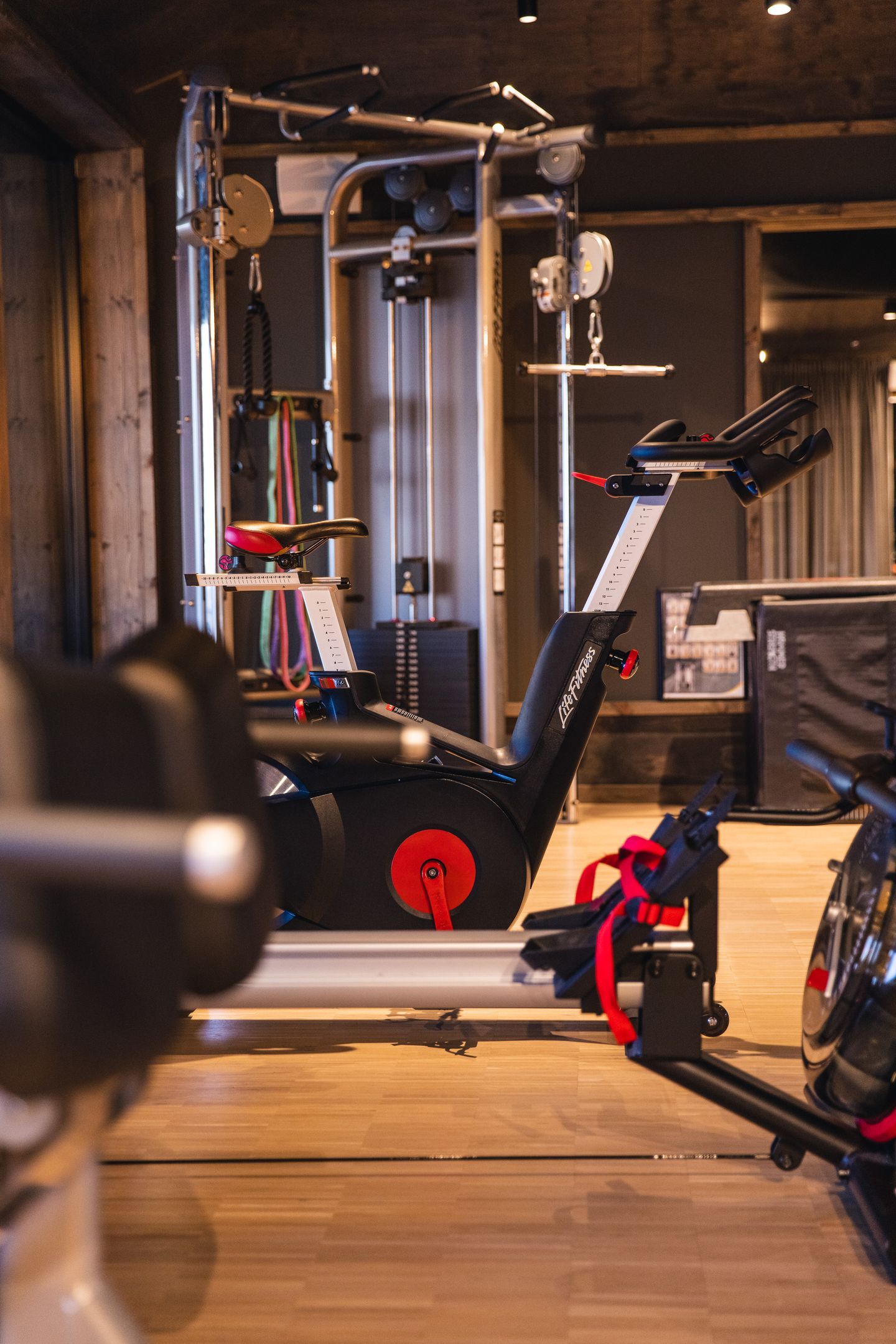 Wellness