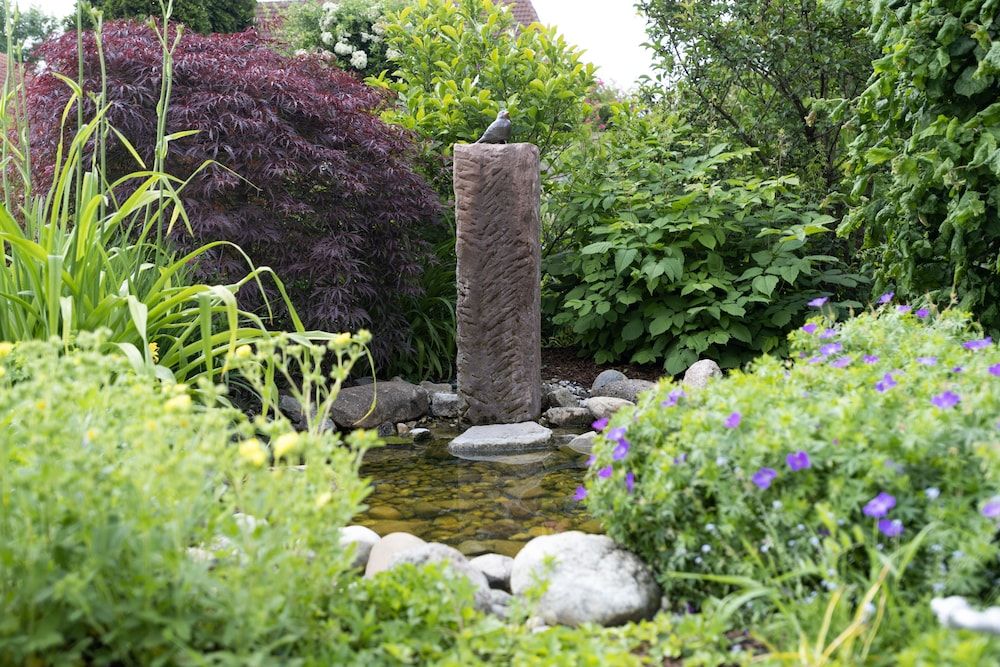 Allgemein