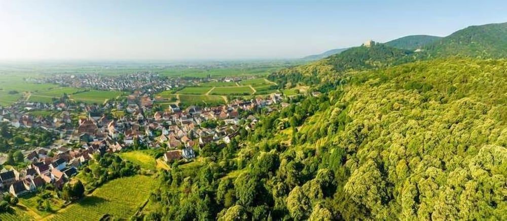 Allgemein