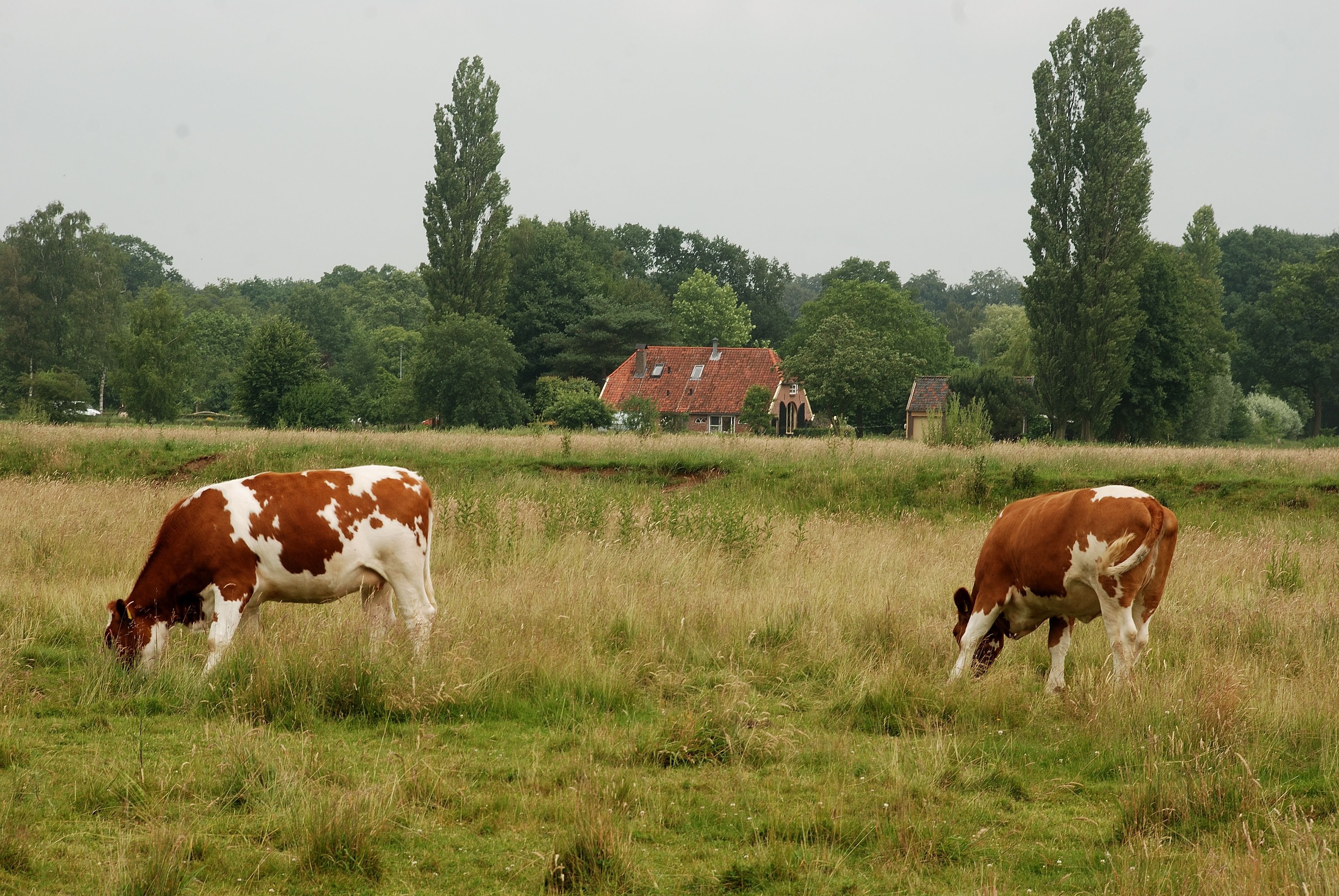 Umgebung