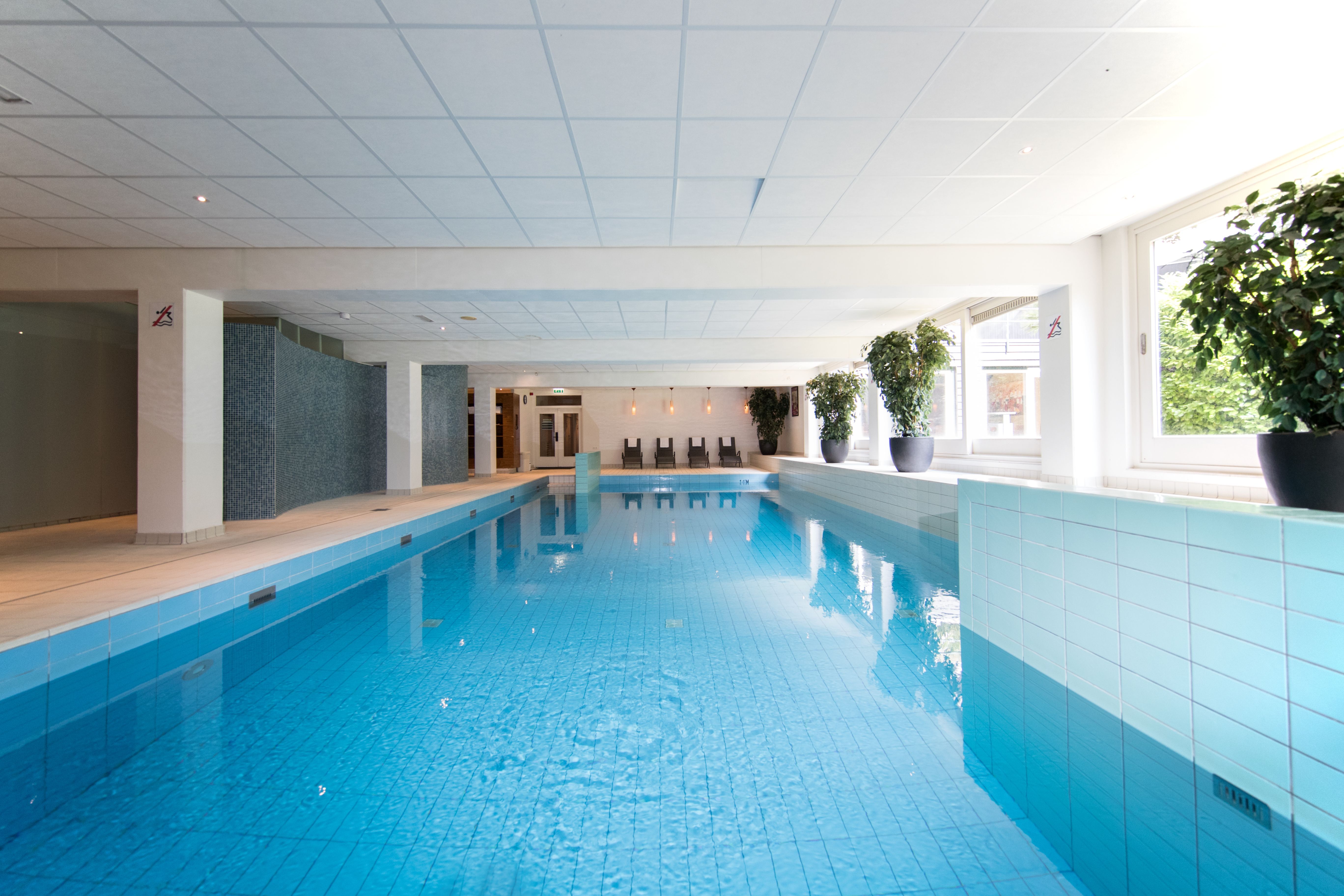 Wellness