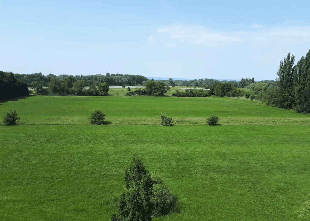 Umgebung
