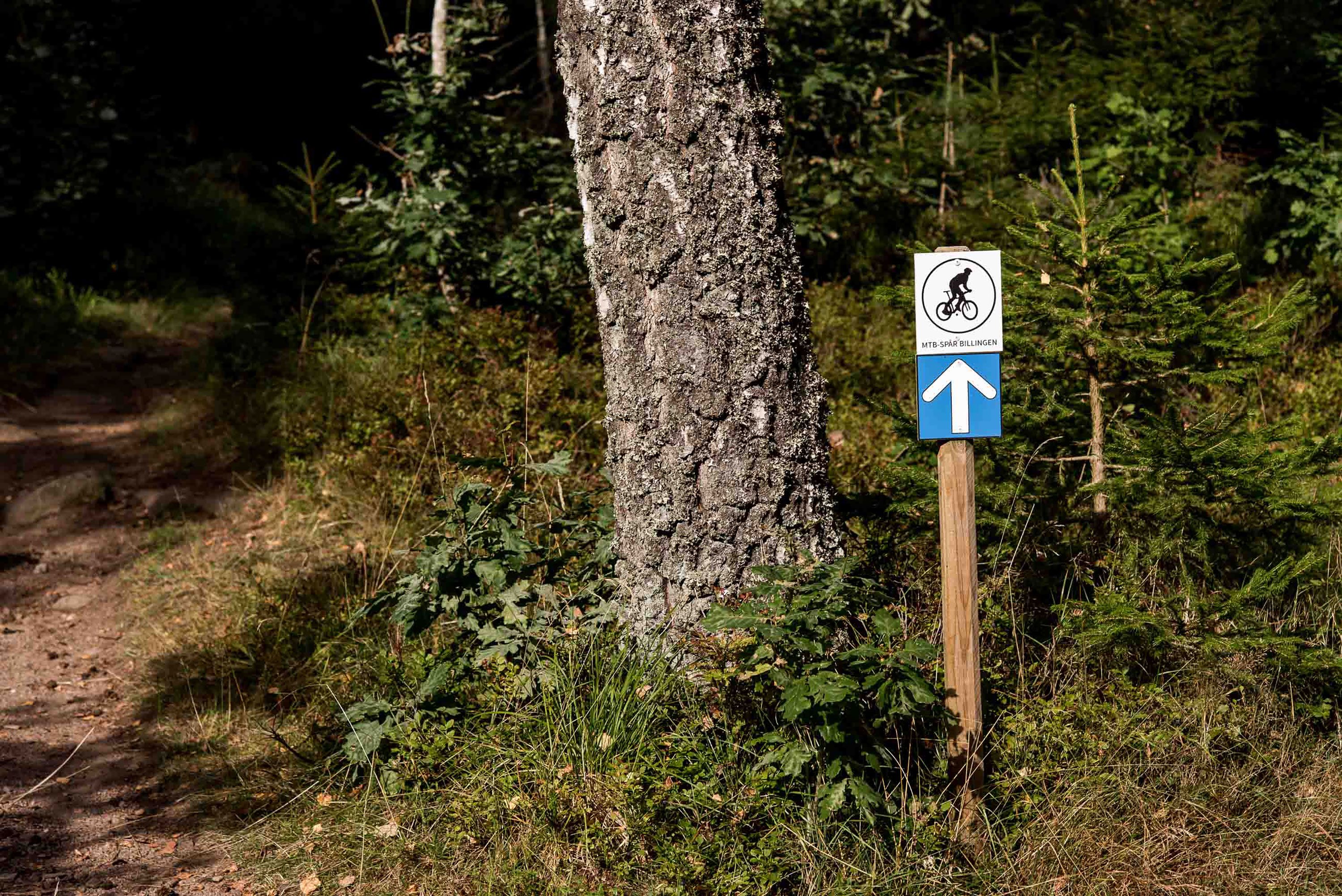 Umgebung