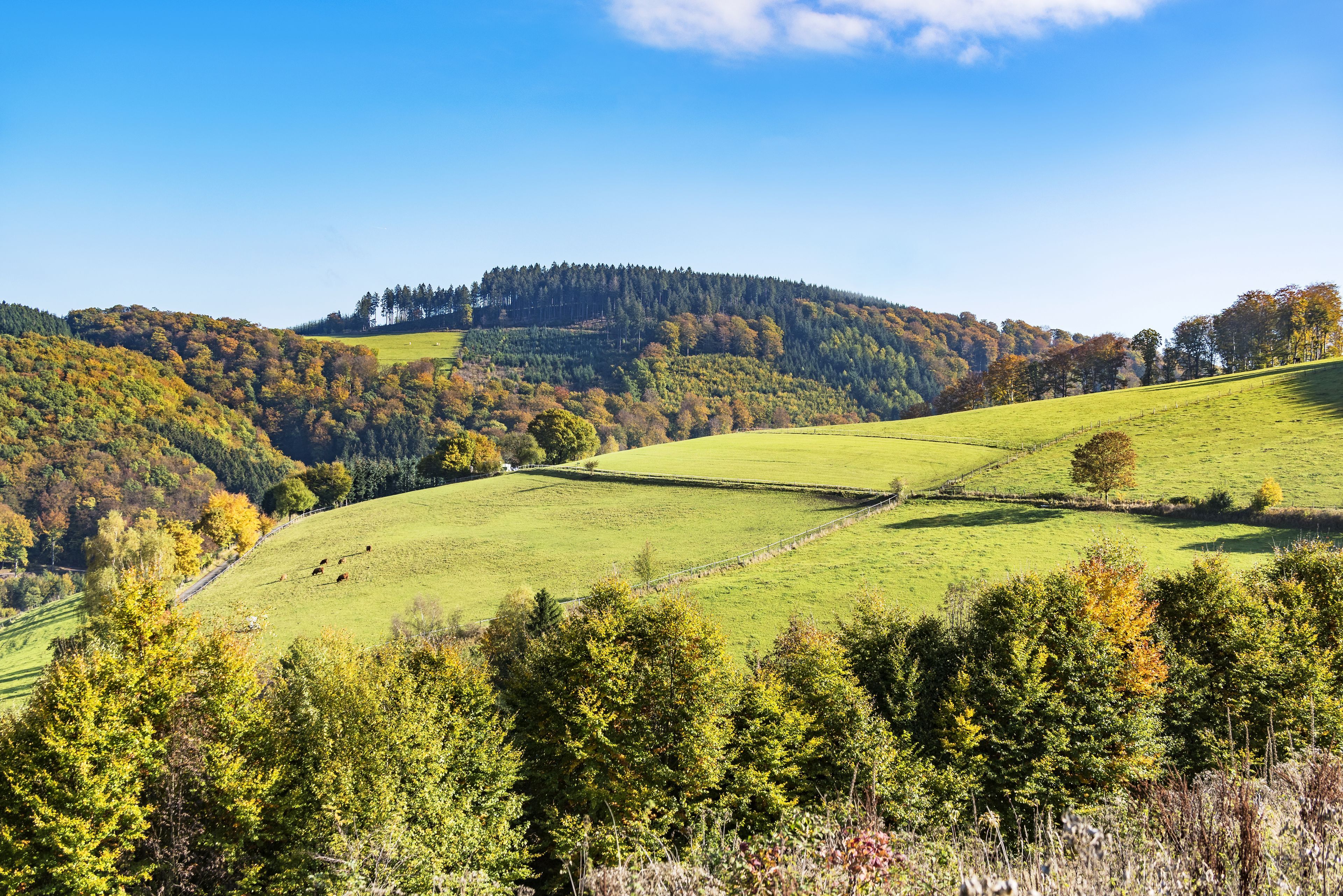 Umgebung
