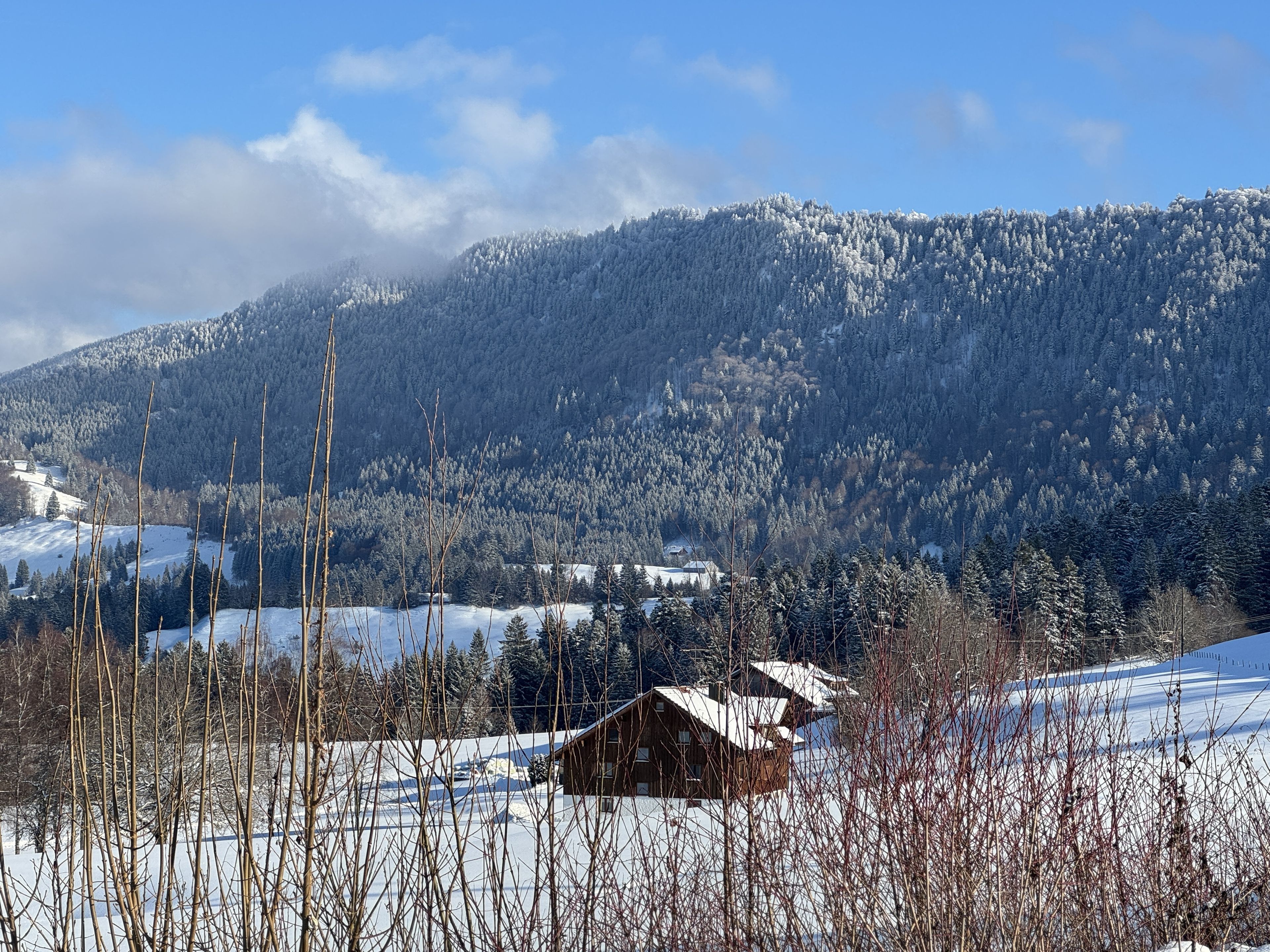 Umgebung