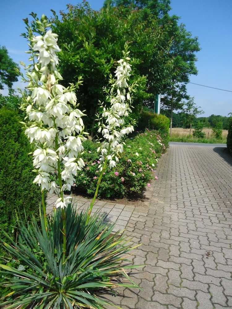 Allgemein