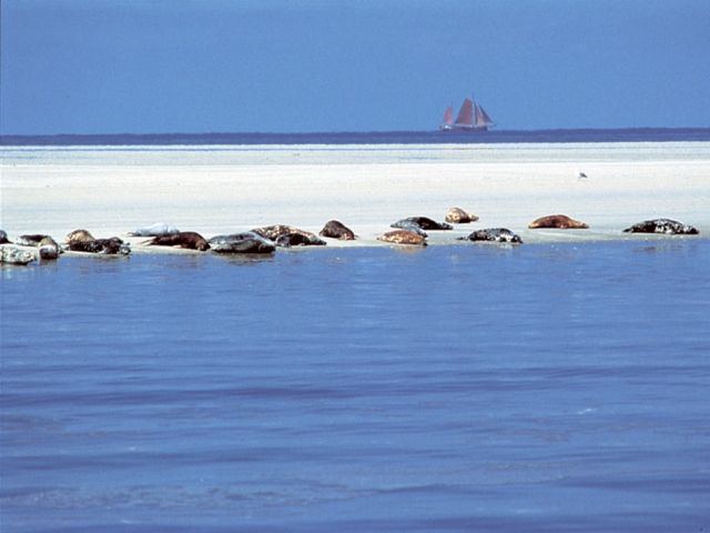 Umgebung