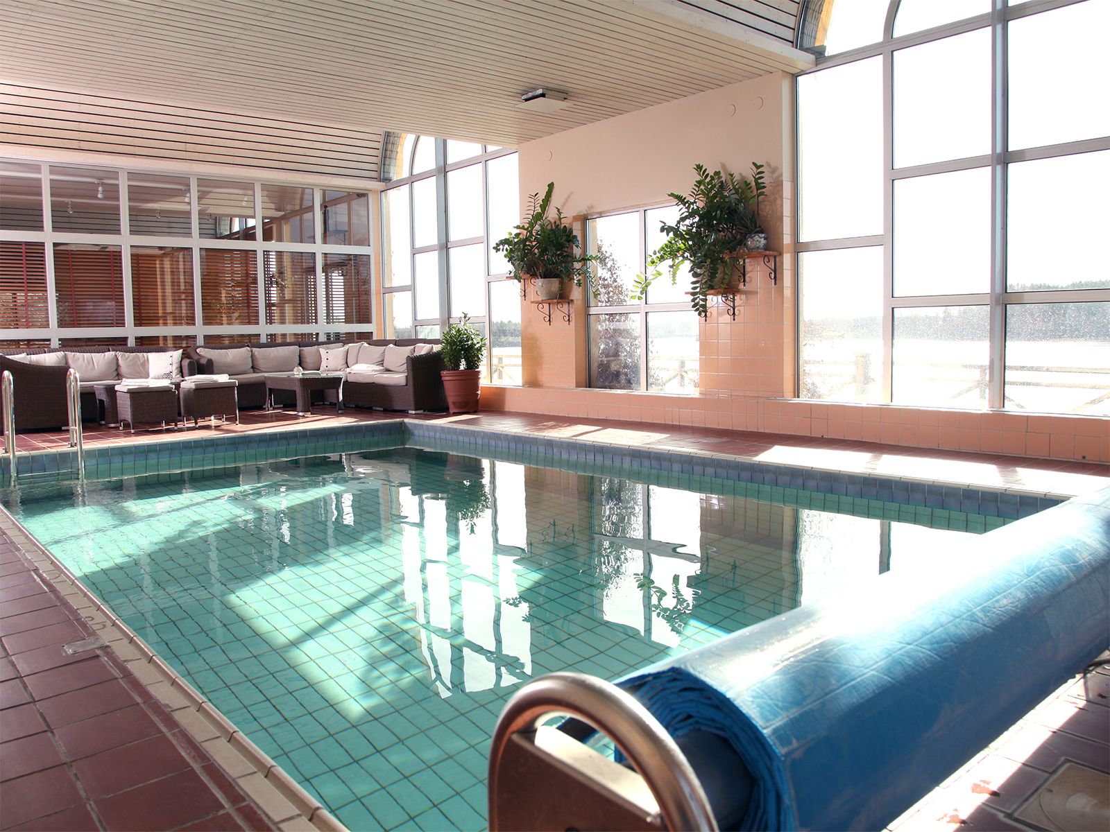 Wellness